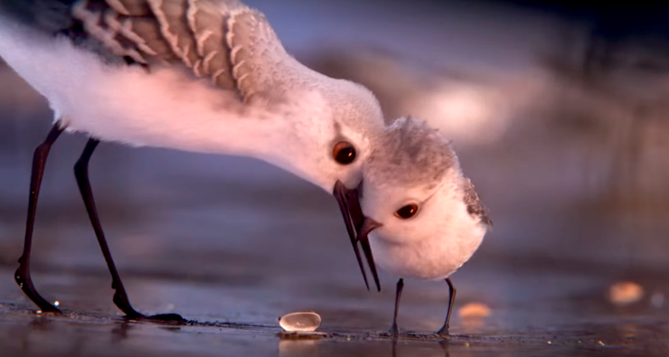 ALERTA DE FOFURA: Conheça “Piper”, o passarinho simpático do novo curta da Pixar