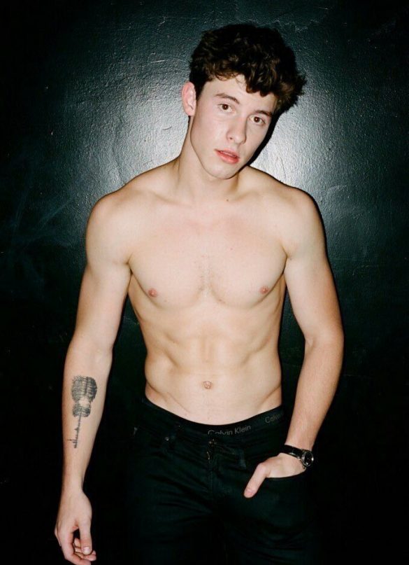 shawnmendes-flaunt-4-585x807